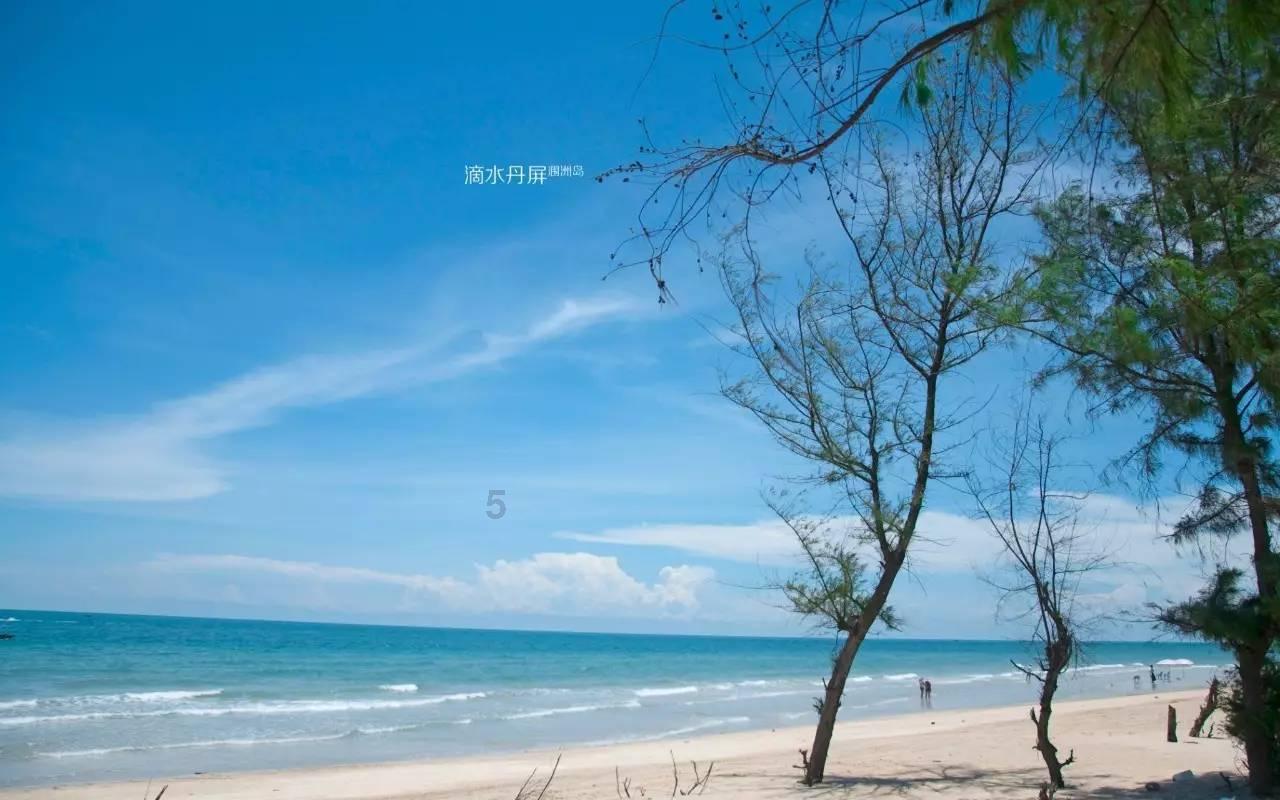 救援可爱的洋葱